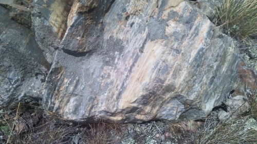 Гигантские зелёные валуны для ландшафтного дизайна весом более 5 тонн купить в Воскресенске