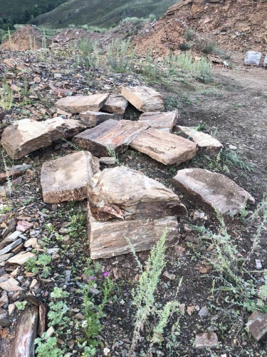 Плитняк кора дерева 50-100мм для пошаговых дорожек купить в Воскресенске