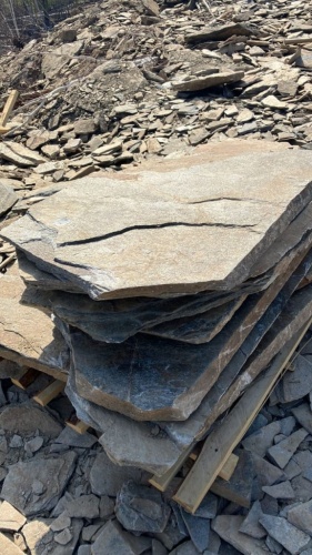 пошаговая дорожка